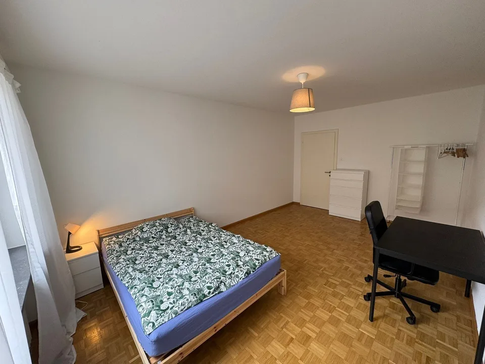 Fully furnished room in Basel city centre with all bills included + cleaning