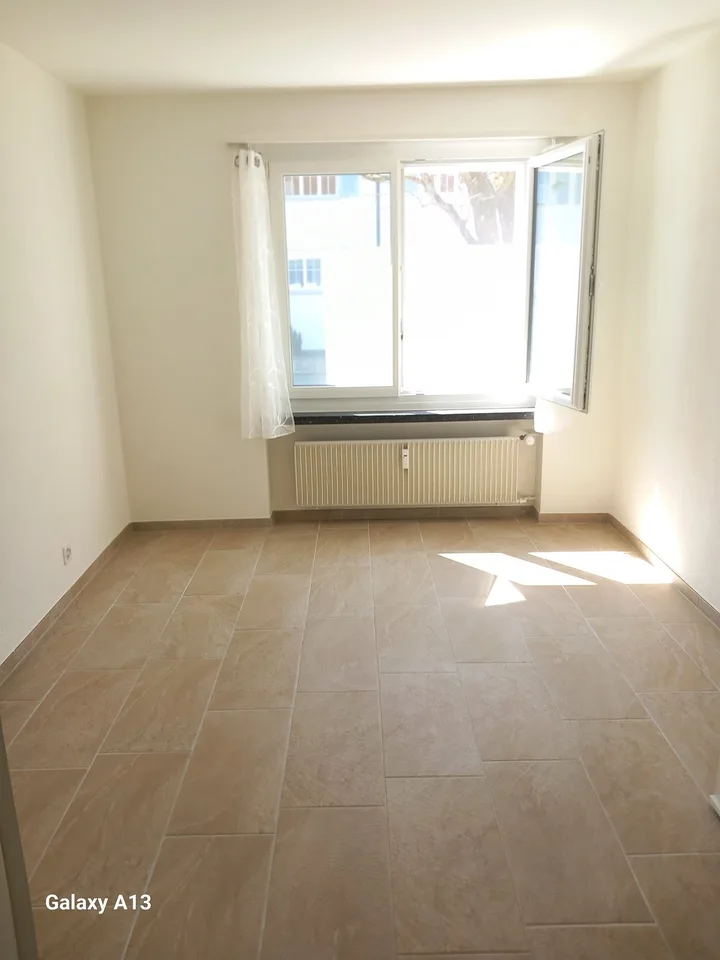Gemütliche renovierte 3 Zimmerwohnung in Reinach