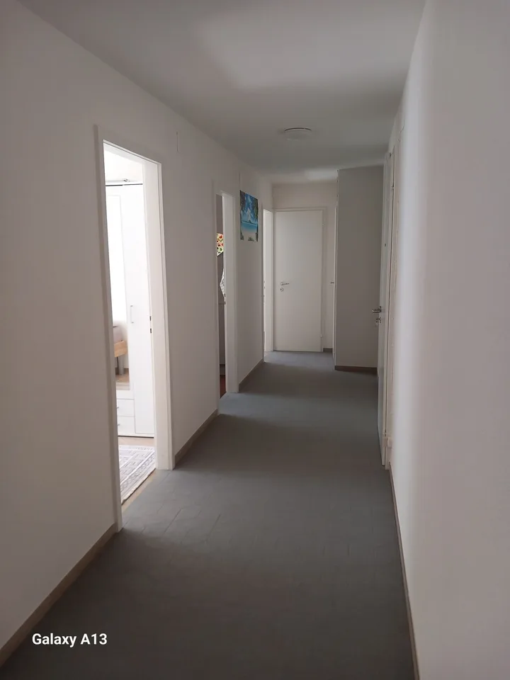 Gemütliche renovierte 3 Zimmerwohnung in Reinach