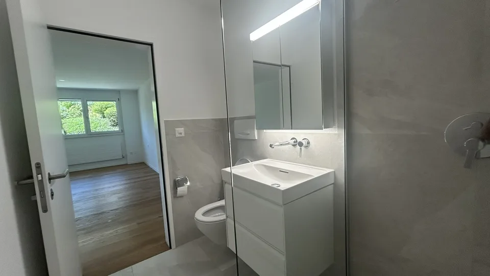 2.5 Zimmerwohnung - 60 m2 – mit Alpenblick