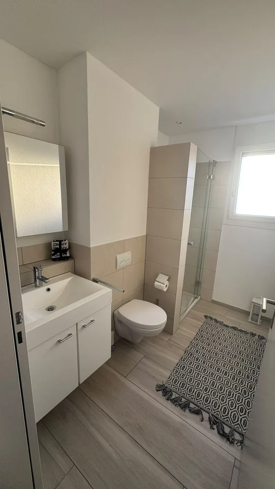 Spacious 24 m2 Room with Private Bathroom in a Premium 137 m2 Apartment - Dagmersellen
