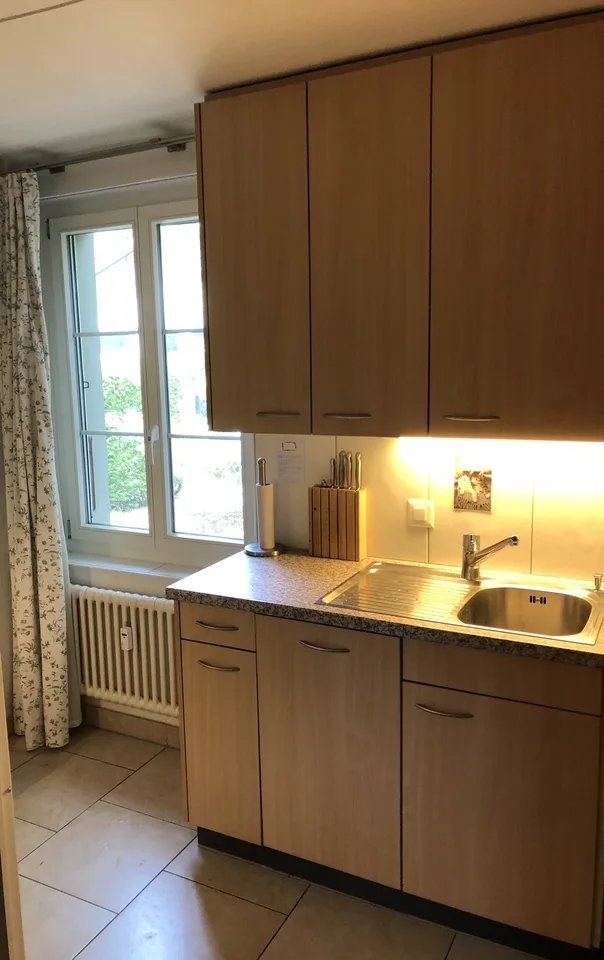 Altbauwohnung mit Charme