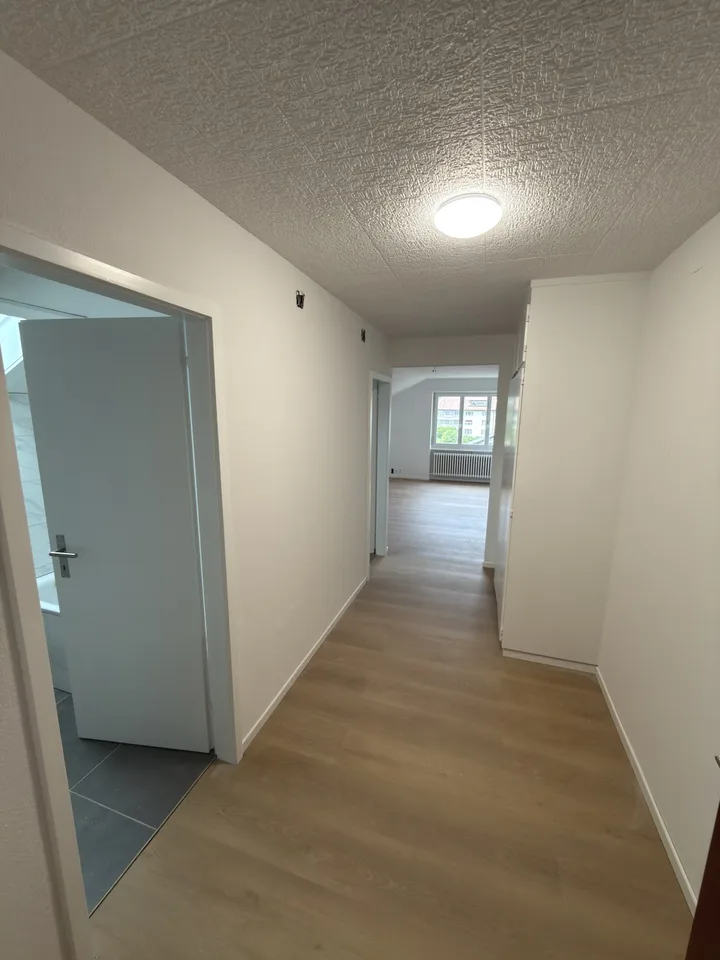 1.5z Wohnung Erstbezug nach Sanierung in Selzach