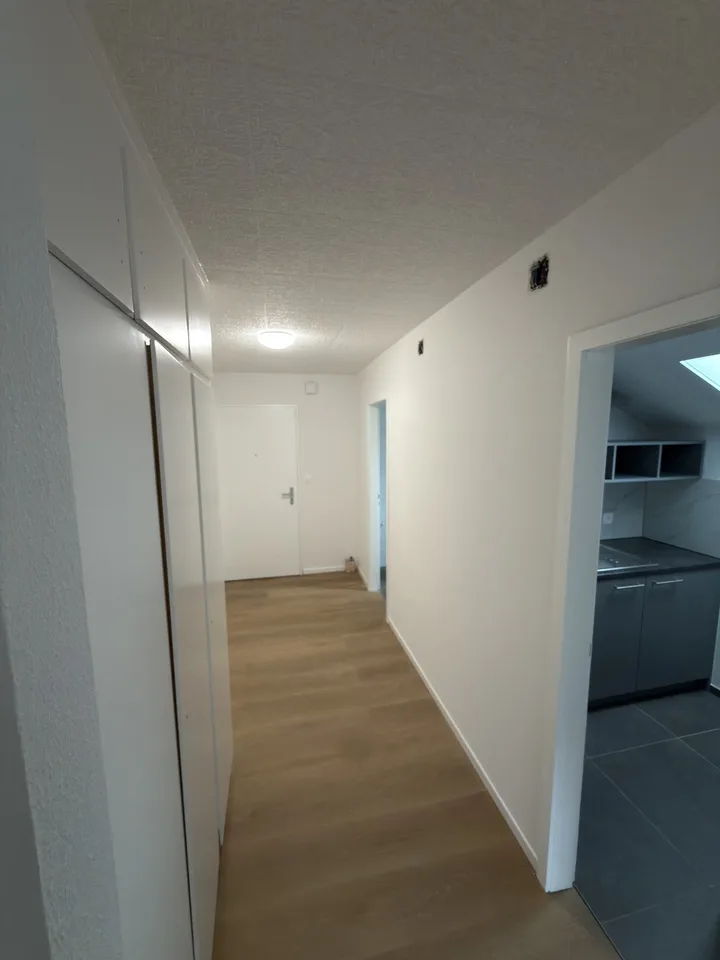 1.5z Wohnung Erstbezug nach Sanierung in Selzach