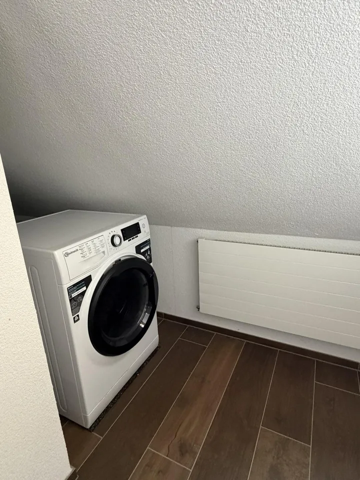 Charming 1.5-Room Apartment in Kappelen