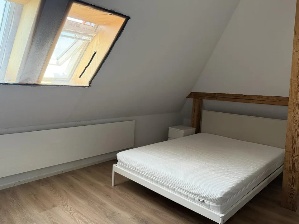 Charming 1.5-Room Apartment in Kappelen