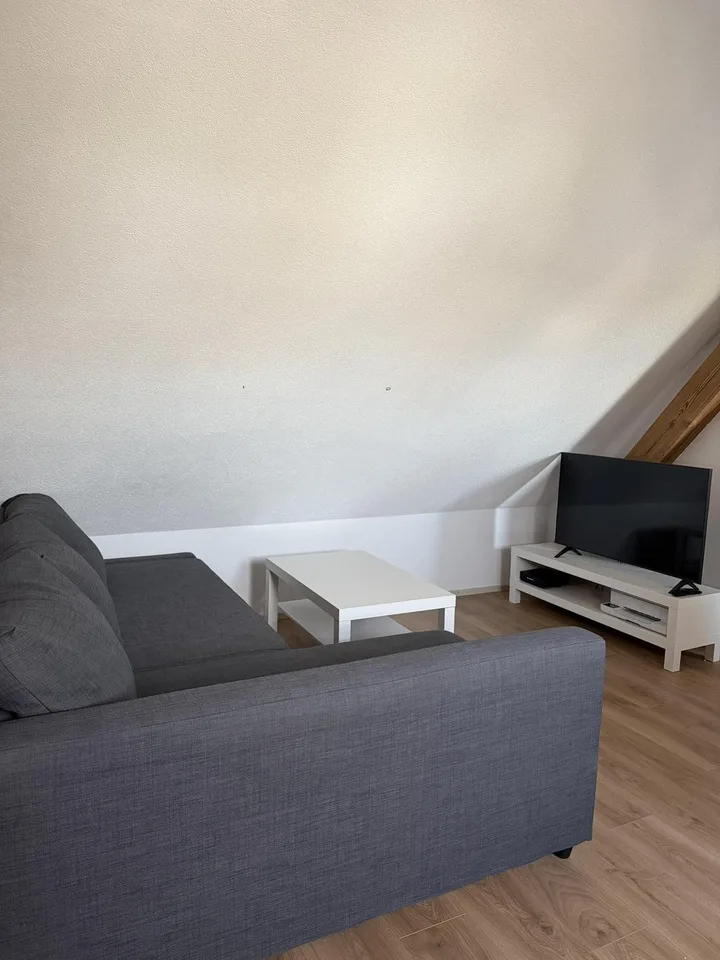 Charming 1.5-Room Apartment in Kappelen