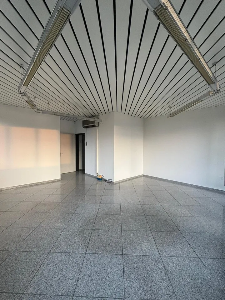 Heller und einladender Gewerberaum mit Terrasse in Schenkon