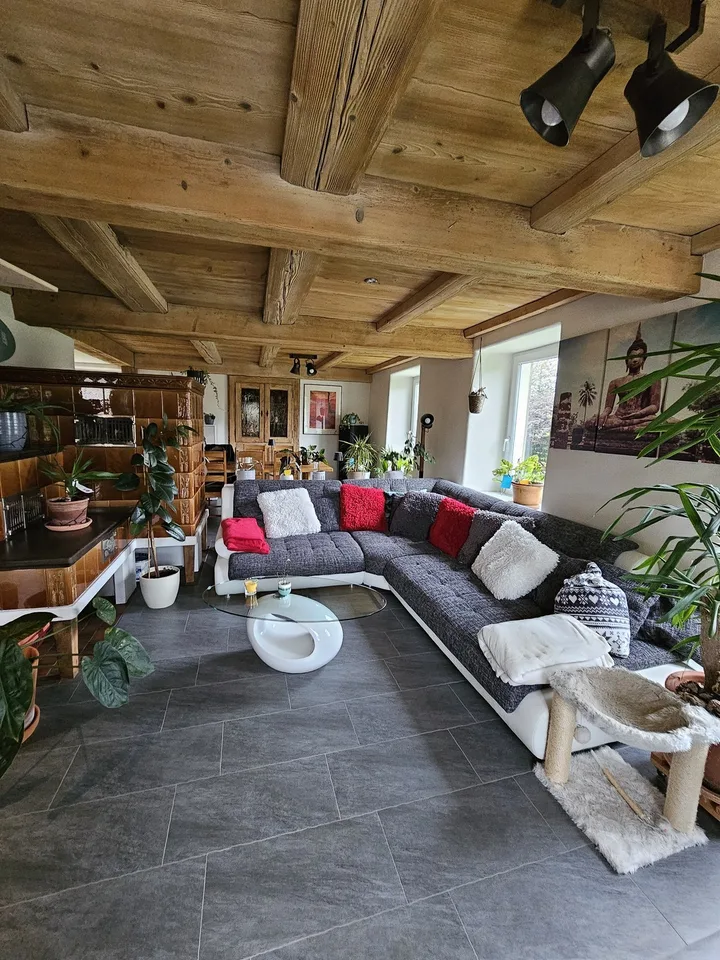 Zimmer + fast ganze Wohnung in Brittnau