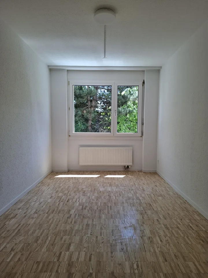 Frisch renovierte 3.5-Zimmer-Wohnung mit 72 m² in Reiden