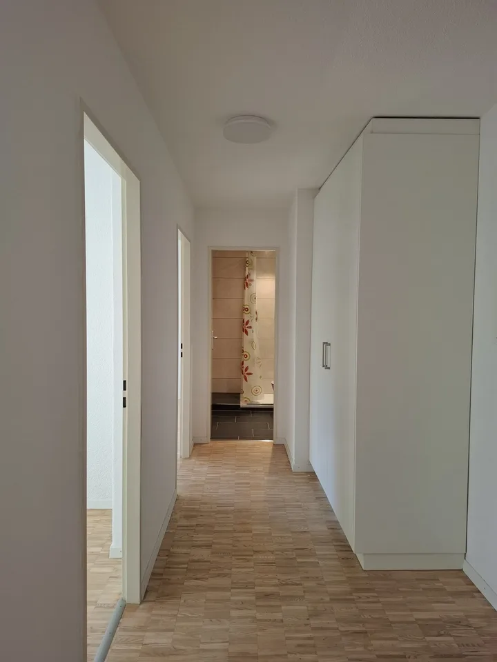 Frisch renovierte 3.5-Zimmer-Wohnung mit 72 m² in Reiden