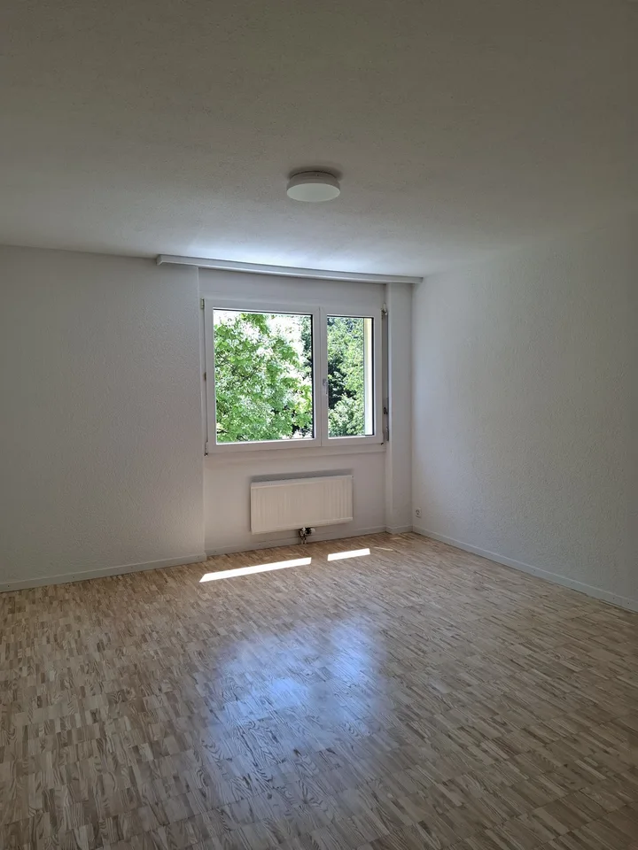 Frisch renovierte 3.5-Zimmer-Wohnung mit 72 m² in Reiden