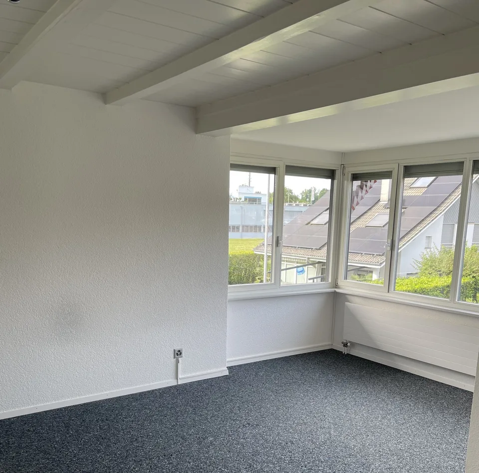 Frisch renovierte, sehr grosse Wohnung zu vermieten
