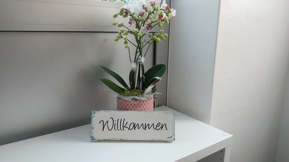Stunden- oder tageweise zu mietender Raum