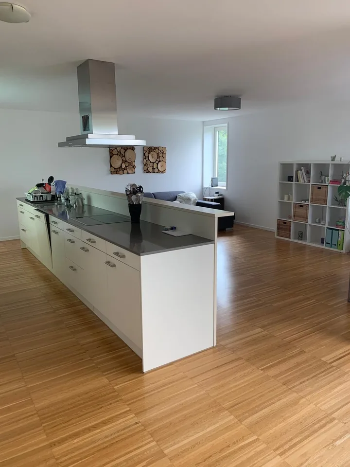 🌿 Zimmer in schöner ruhiger 5.5-Zimmer-Attikawohnung in Sursee zu vermieten (Frauen-WG)🌿