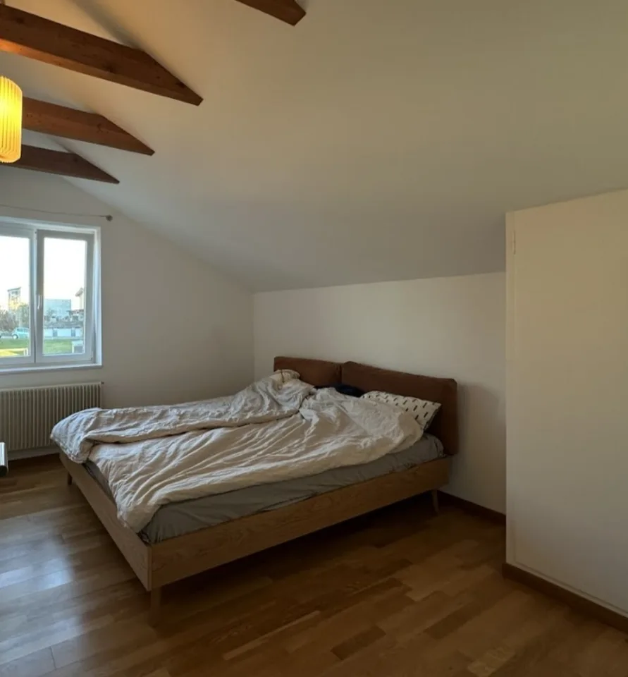 Rent a 2½ rooms apartment in Langendorf