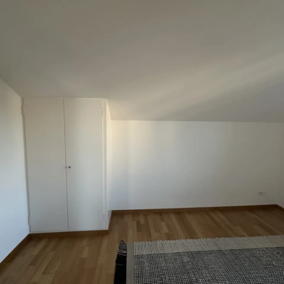 Rent a 2½ rooms apartment in Langendorf