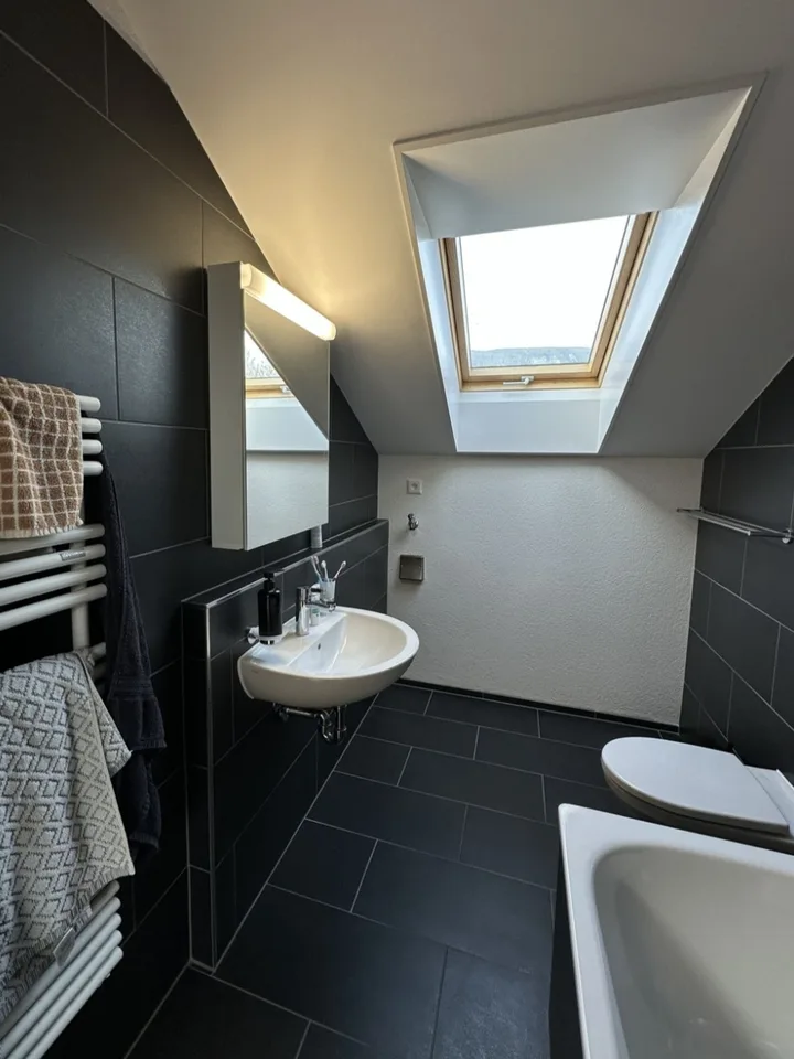 Rent a 2½ rooms apartment in Langendorf