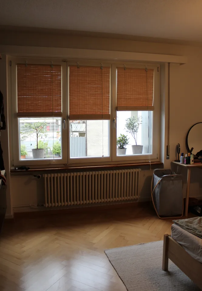 Suche Mitbewohnerin in Solothurn