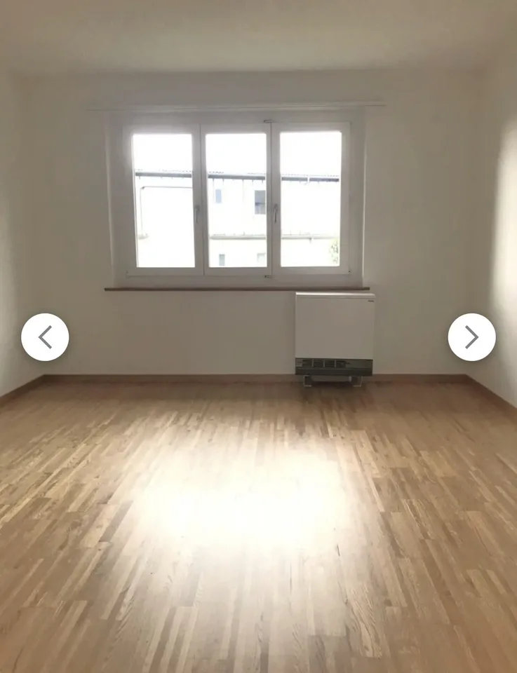 Amanz-Gressly-Strasse 47, 4500 Solothurn - CHF 1’390 inkl. NK pro Monat