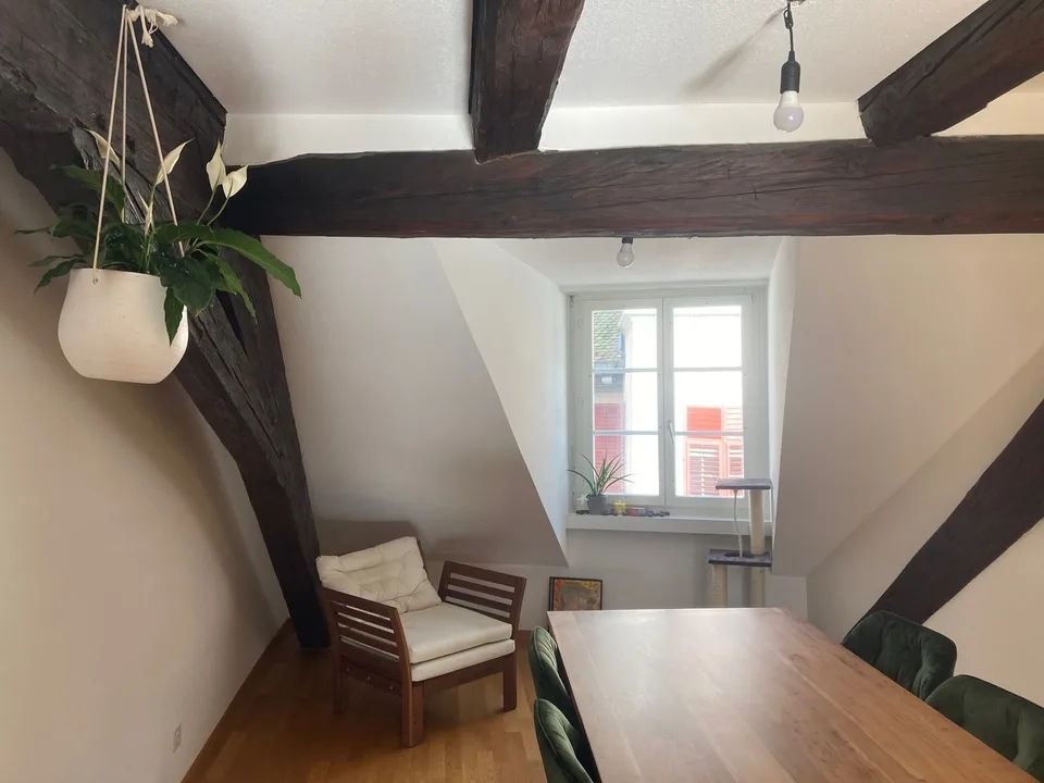 Grosszügige, sonnige Altstadtwohnung mit Terrasse