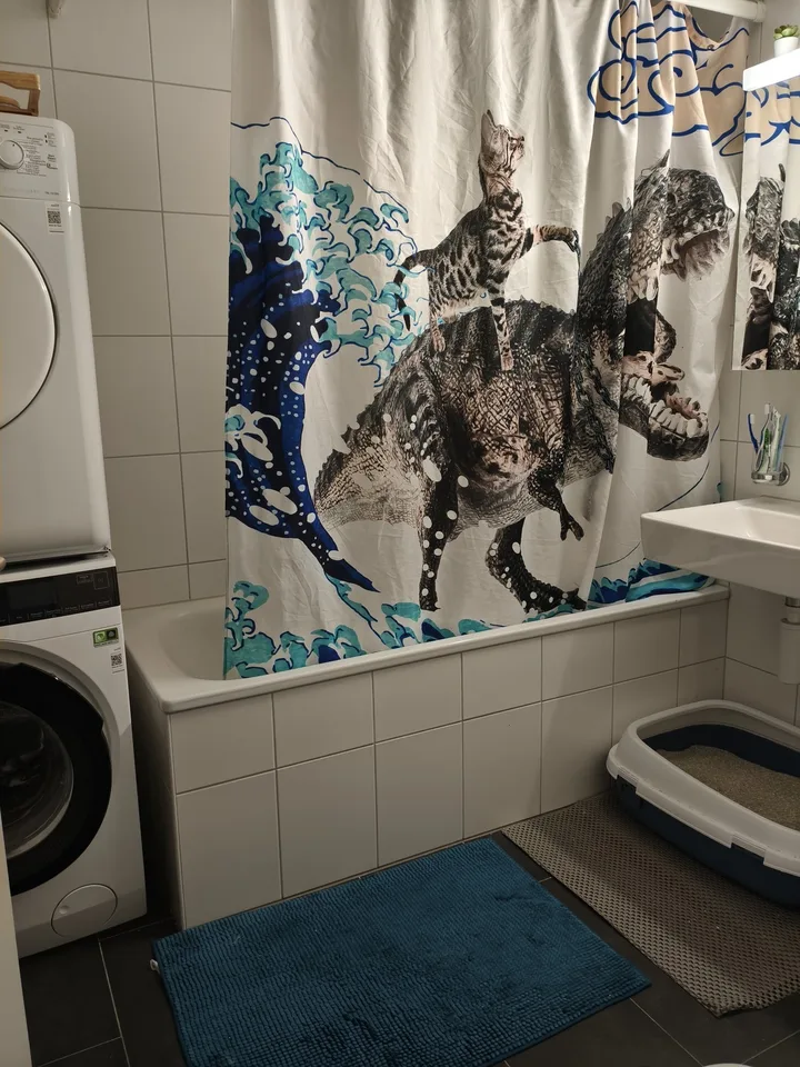 WG-Zimmer in grosser 4.5-Zimmer-Wohnung in Lyss – frei ab 1. Oktober 2026