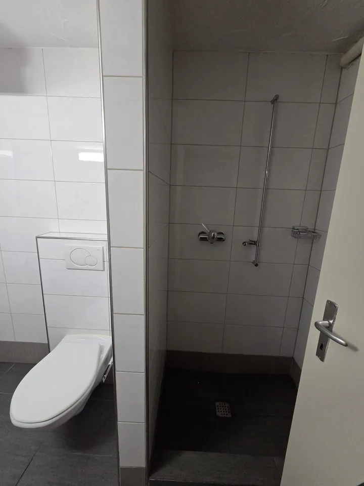 Eine gemütliche 1-Zimmerwohnung am idyllischen Blumenrain 51 zu vermieten