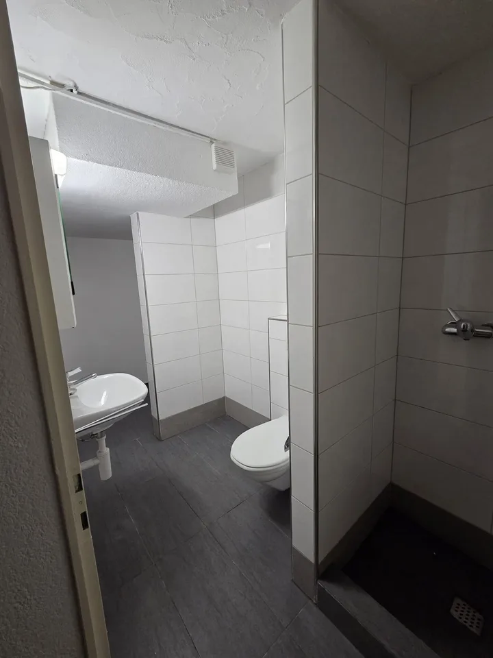 Eine gemütliche 1-Zimmerwohnung am idyllischen Blumenrain 51 zu vermieten