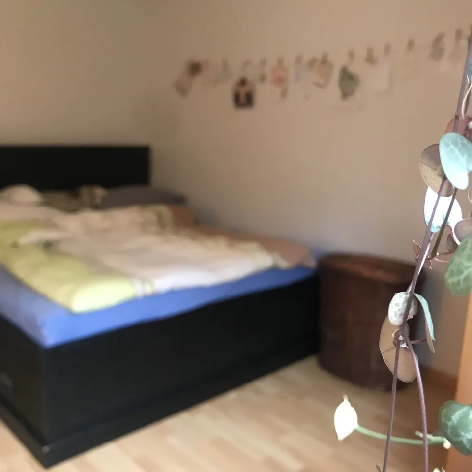 Gemütliches Zimmer mit Aussicht auf dem Wald