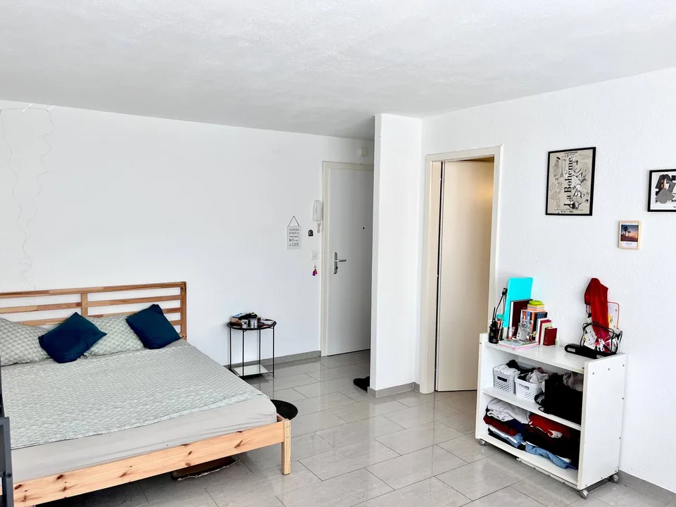 Gemütliche, neuwertige 1-Zimmerwohnung am Blumenrain, Biel