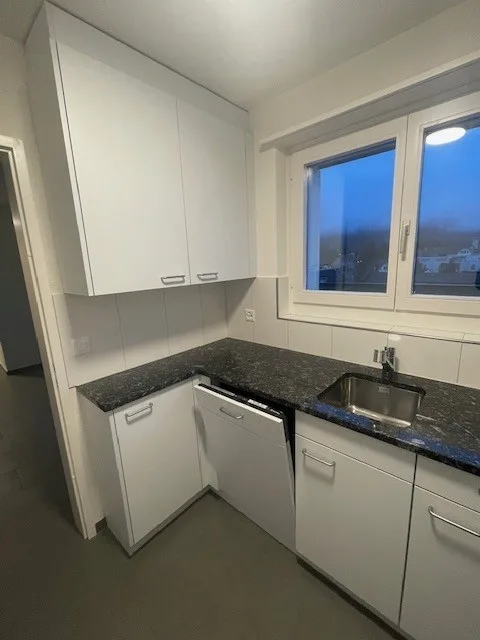 Renovierte Attikawohnung mit Terrasse und Wintergarten