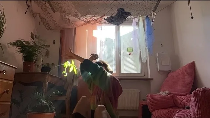 wg zimmer in 3z wohnung