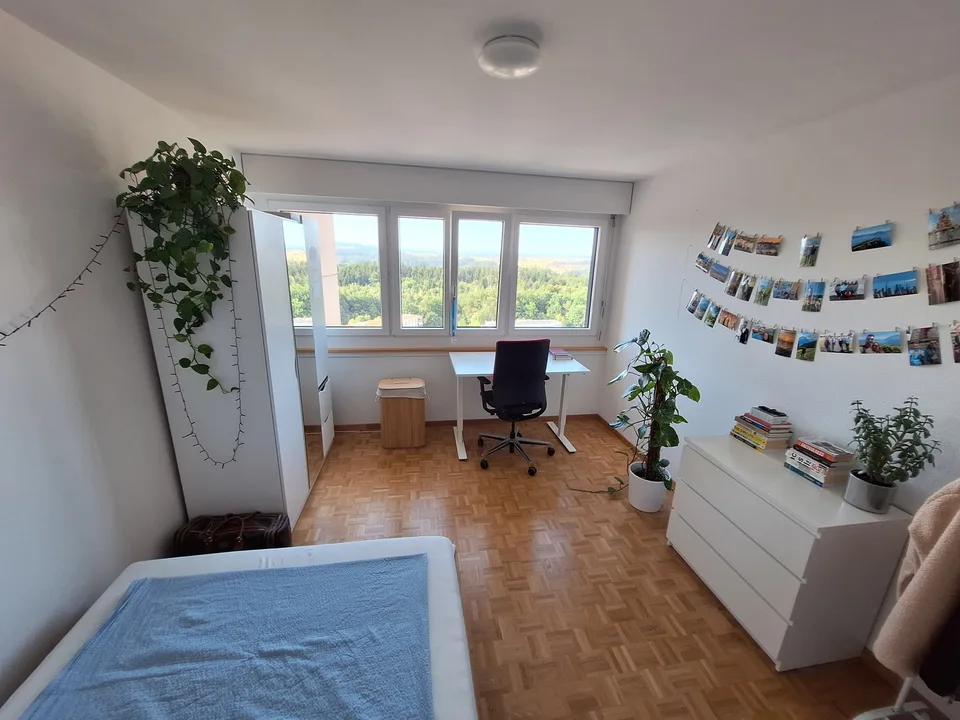 WG Zimmer gesucht