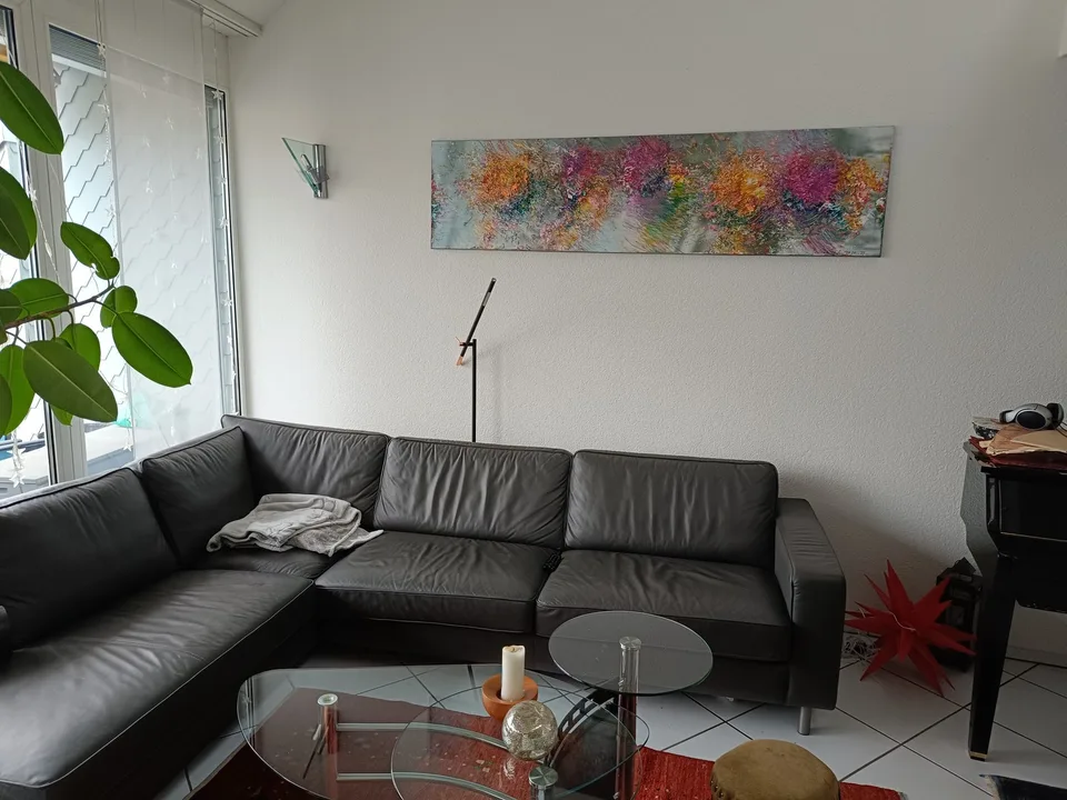 fully furnished room in Bern for August (1 Month Sublet)