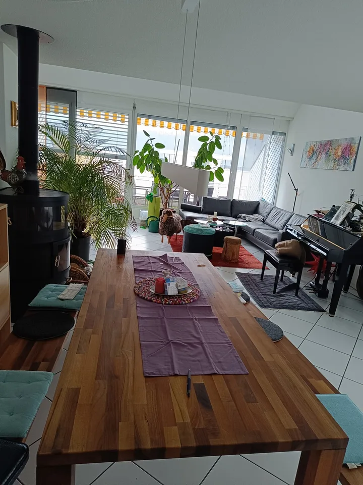 fully furnished room in Bern for August (1 Month Sublet)