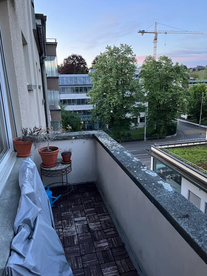 August in Bern (helle, grosszügige 2-Zi-Whg im Mattenhofquartier)