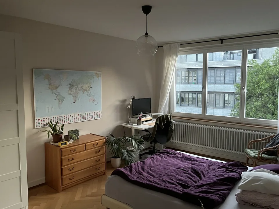 August in Bern (helle, grosszügige 2-Zi-Whg im Mattenhofquartier)