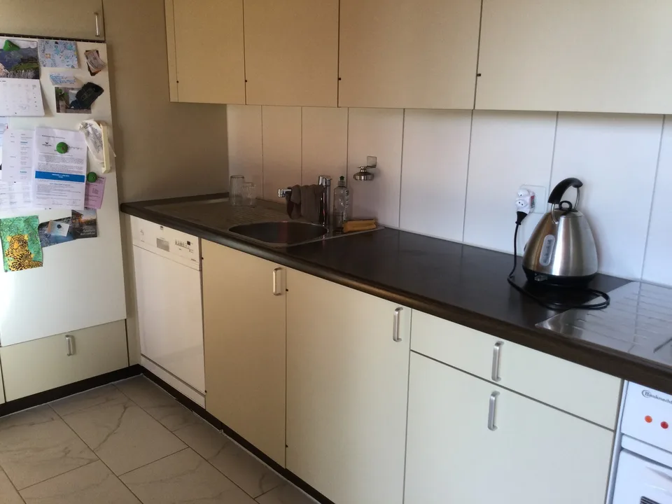Parterre-Wohnung mit Sitzplatz, Balkon u. eigener Waschküche