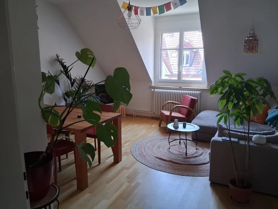 Helle 3-Zimmer Wohnung in der Länggasse