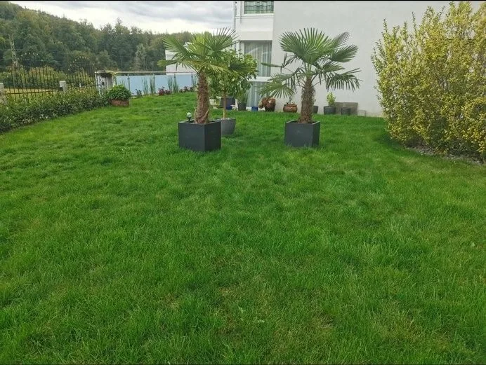 WG Kolleg/in gesucht für wunderbare wohnung am aareufer