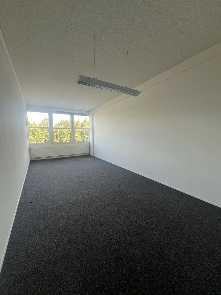 Räumlichkeit für Büro oder sonstiges Gewerbe zu vermieten