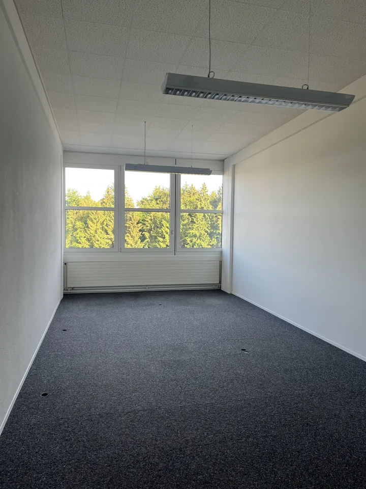 Räumlichkeit für Büro oder sonstiges Gewerbe zu vermieten