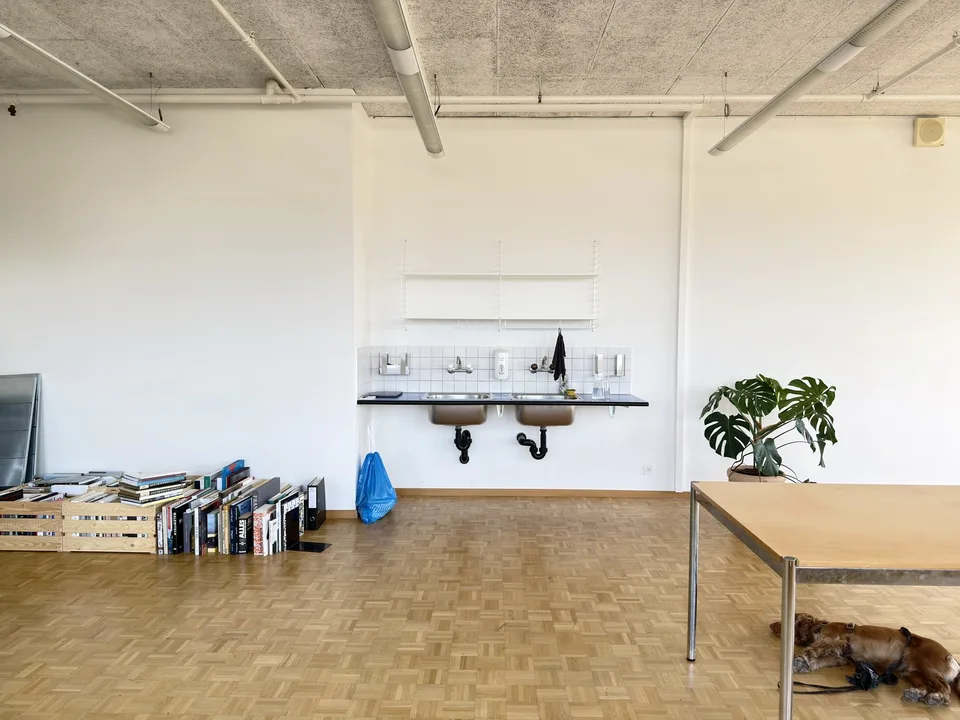 Atelier / Gewerbefläche mit viel Licht