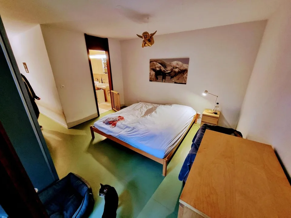 4.5-Zimmer-Wohnung in Bern-Altenberg, nahe Aare