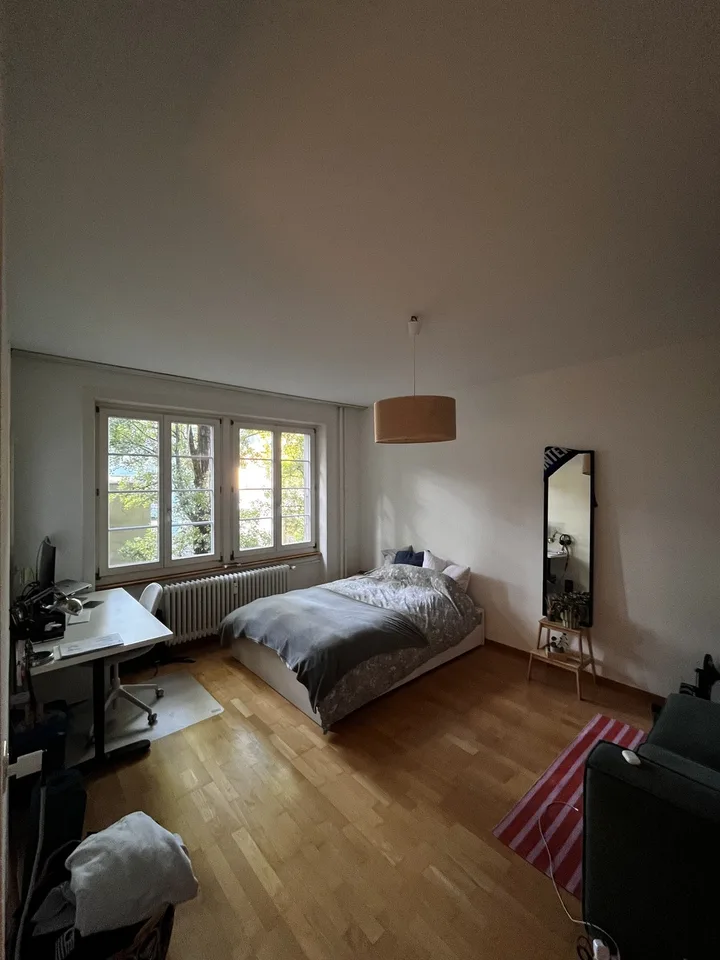 Bright and cozy 1.5-room apartment in the heart of Bern