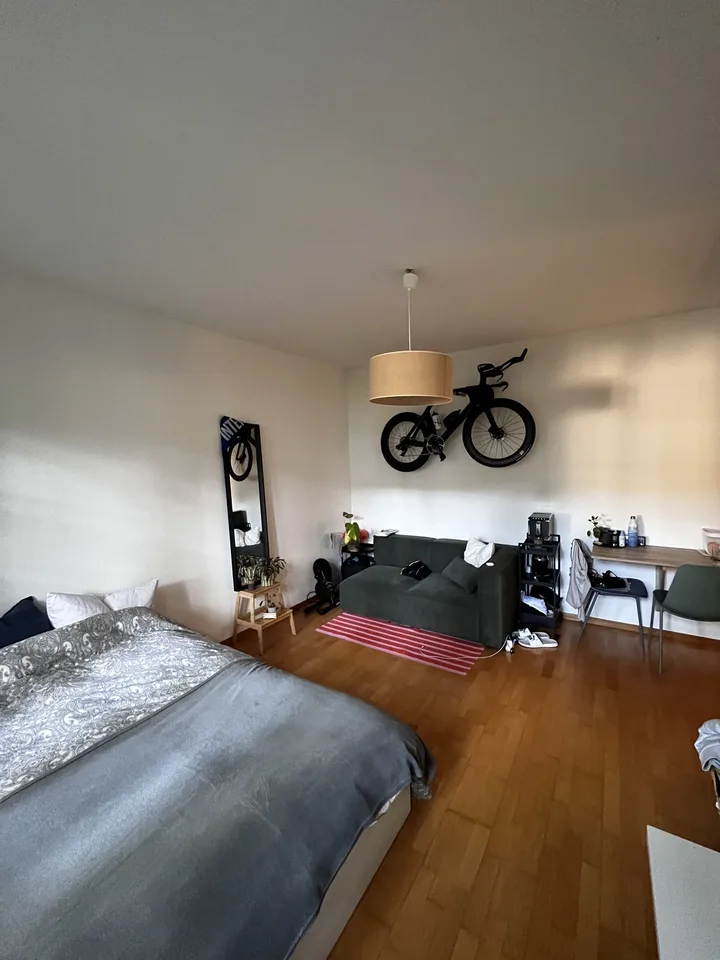 Bright and cozy 1.5-room apartment in the heart of Bern