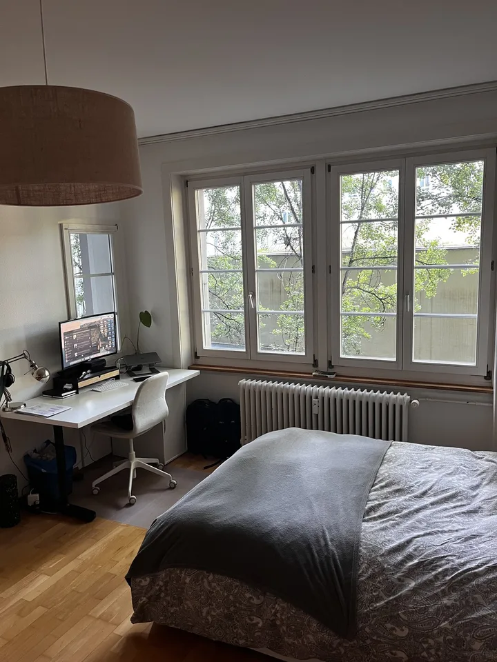 Bright and cozy 1.5-room apartment in the heart of Bern