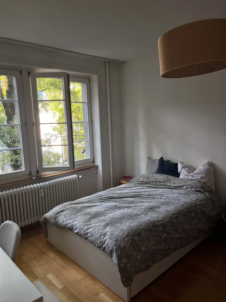 Bright and cozy 1.5-room apartment in the heart of Bern