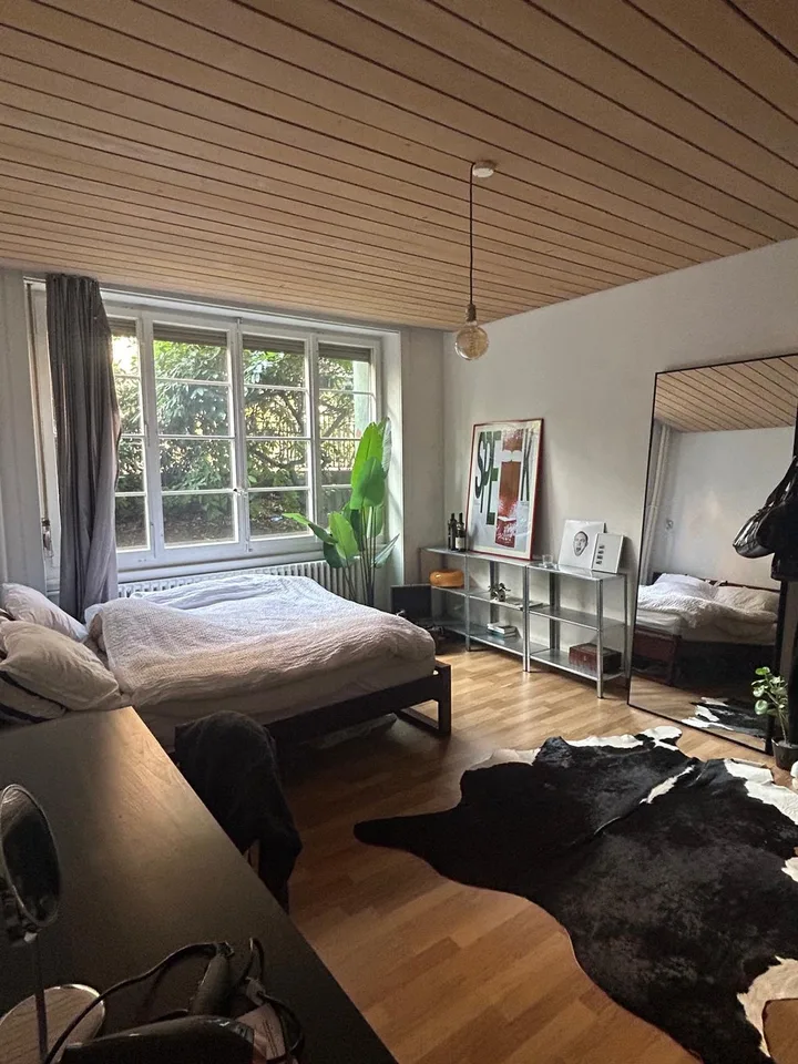 Grosses WG Zimmer im Monbijou