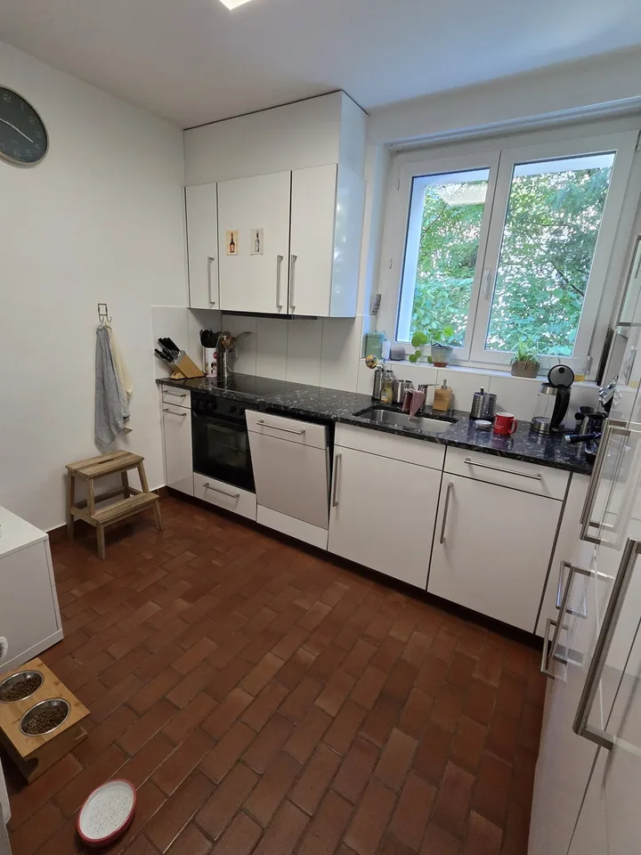 Grosszügige, schöne 2.5 Zimmer Wohnung in der Länggasse – befristet, möbliert, mit zwei Katzen